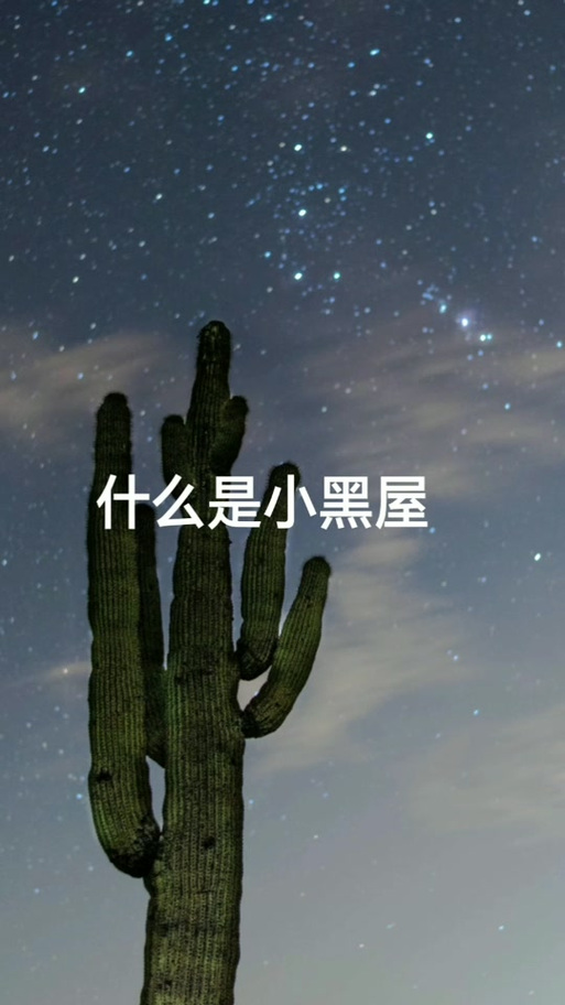 关进小黑屋还能出来吗