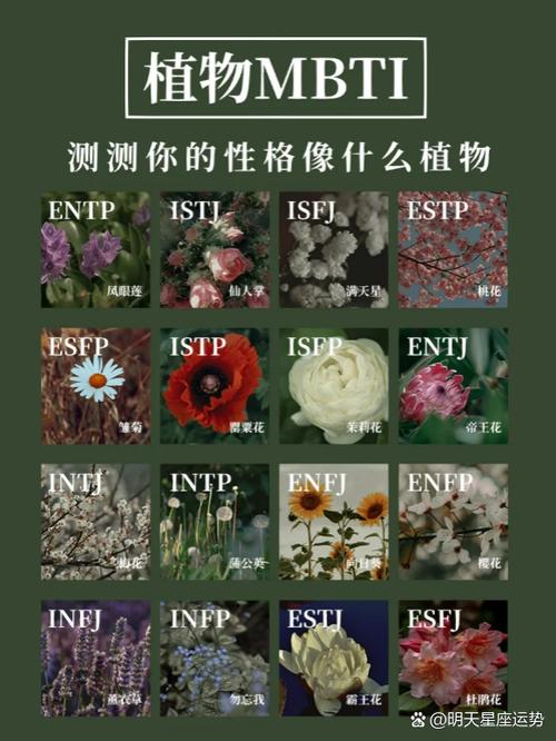 entp代表什么