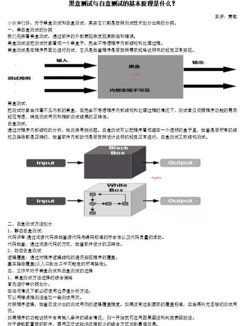 黑和白盒功能测试