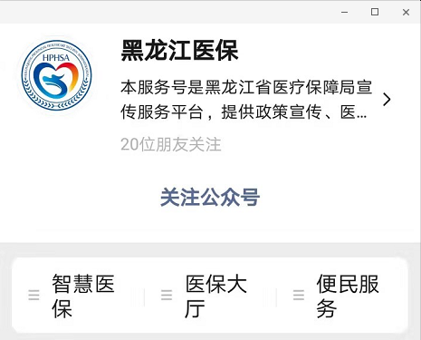 龙江医保官方网站