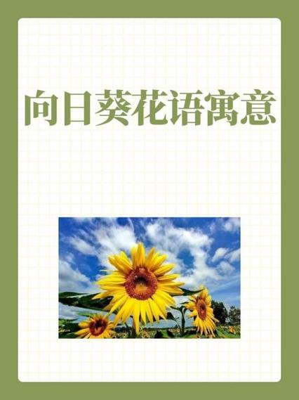 向日葵花语怎么接