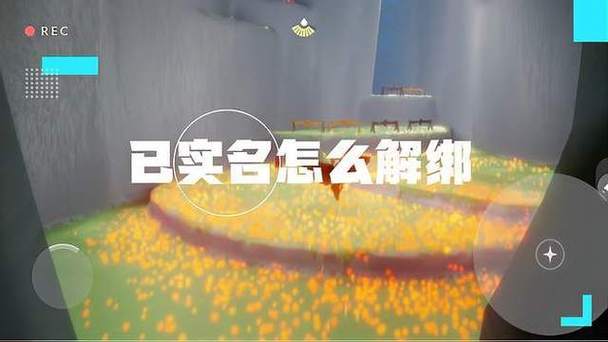 光遇实名认证怎么解除游戏截图