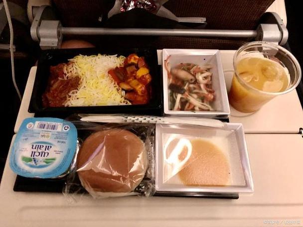 飞机上能带熟食肉类吗