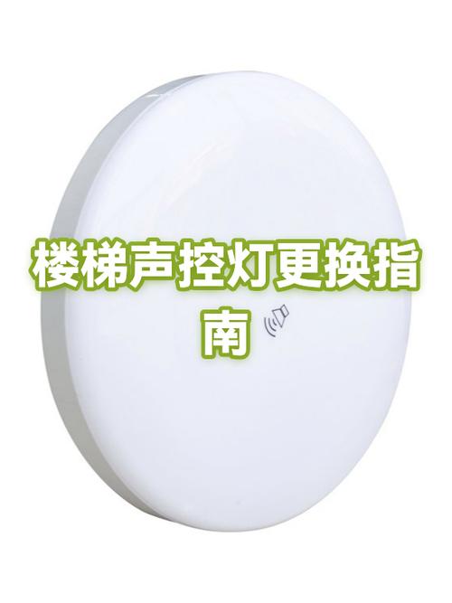 走廊声控灯从哪里断电