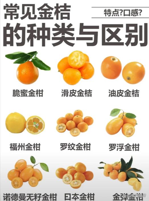 金桔上火还是降火图标