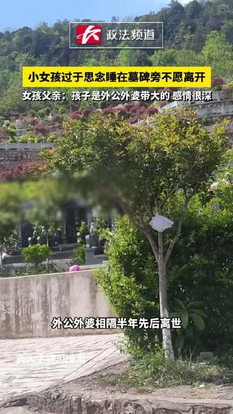 女孩睡外公外婆墓碑旁不愿走