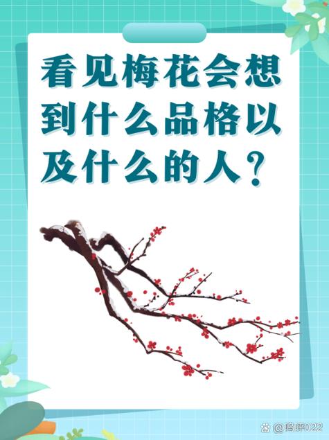 梅花介绍特点
