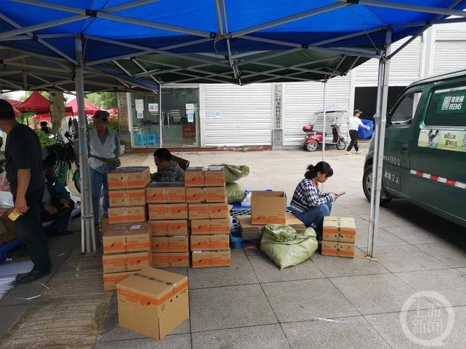 深圳农产品配送公司排名