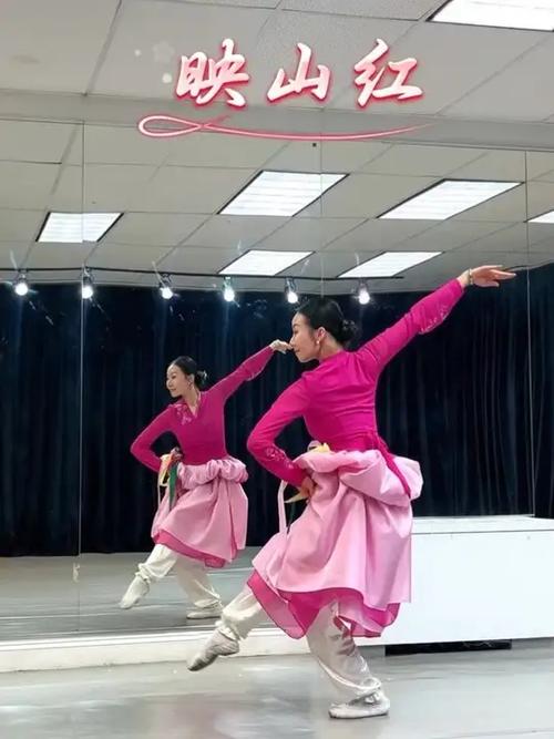 朝鲜舞蹈映山红视频大全
