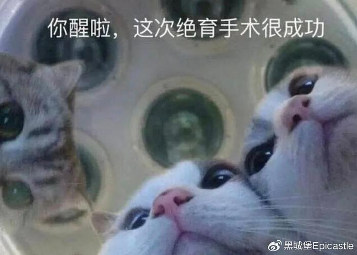 你醒啦手术很成功表情包