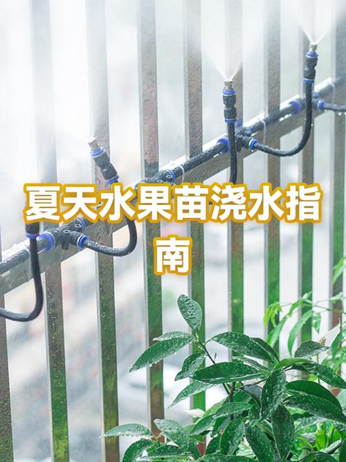 浇水领水果是哪里面的