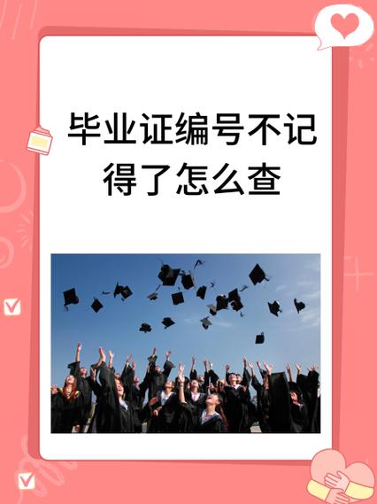 不记得证书编号怎么查询证书