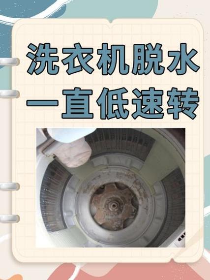 志高洗衣机可以脱水不能洗