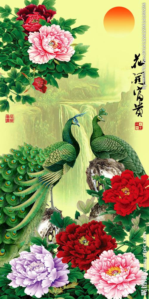 花开富贵孔雀版花开富贵