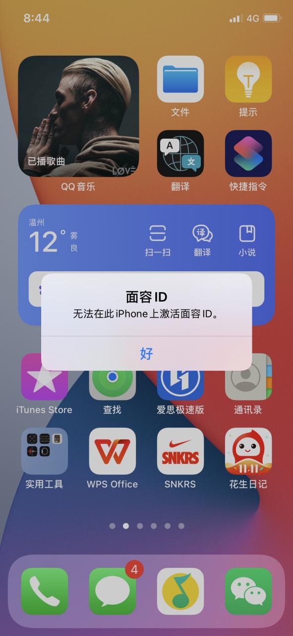 苹果x打不开任何软件