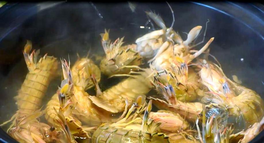 皮皮虾和虾虎