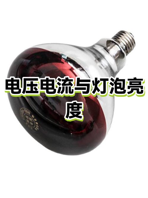 决定灯泡亮度的是电压还是电流