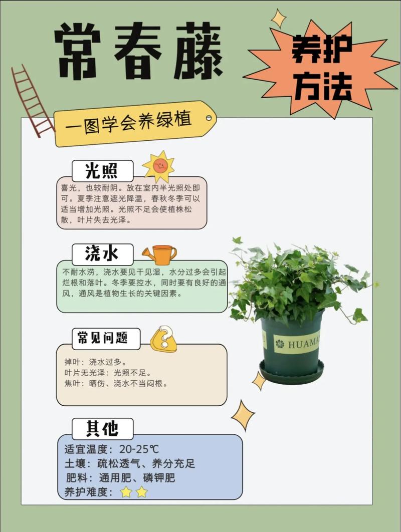 常青藤cad辅助工具常用技巧