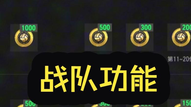 战队币会不会清空