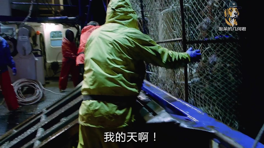 荒野求生凯西和格雷格