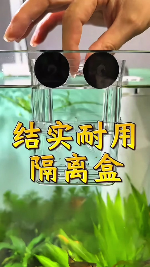 应用进入隔离箱怎么取出
