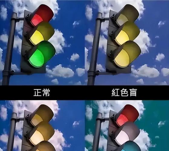 晚上看不清蓝色和绿色