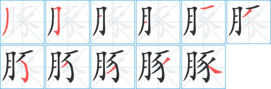 豚豚是什么意思