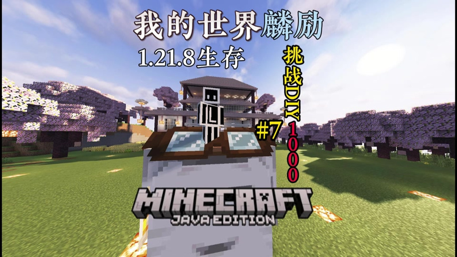 我的世界极限挑战