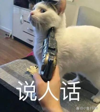 网络热梗作文