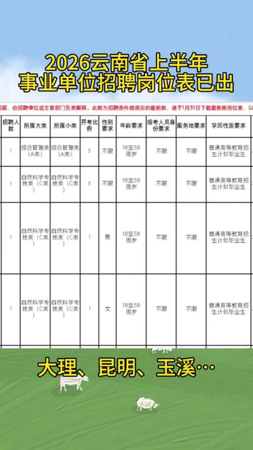 2026年事业编岗位表截图