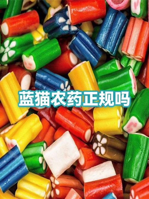 蓝猫移动都有什么套餐