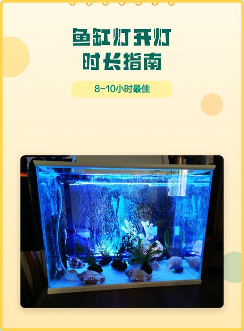 鱼缸一般开灯几小时