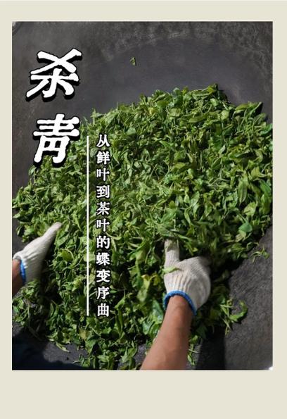 茶叶如何杀青
