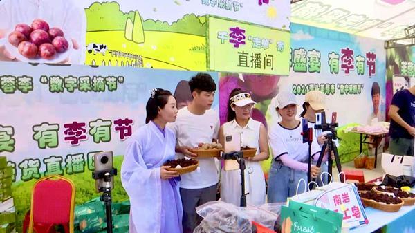 芙蓉直播间现场直播缩略图