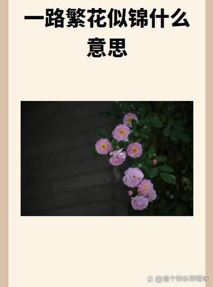 繁花歌词是什么意思