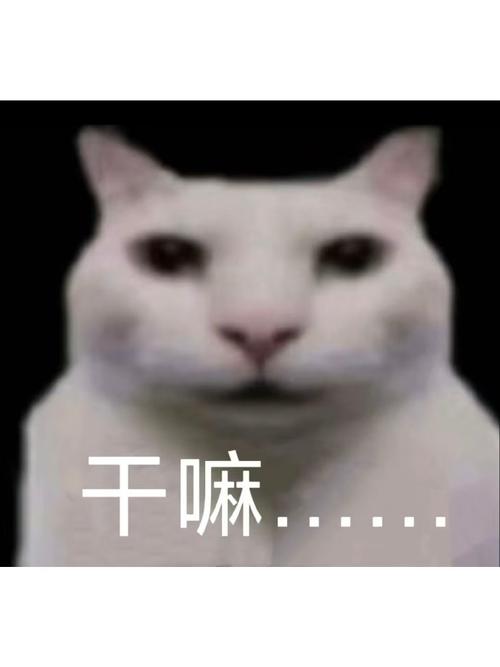 益伴是干嘛的