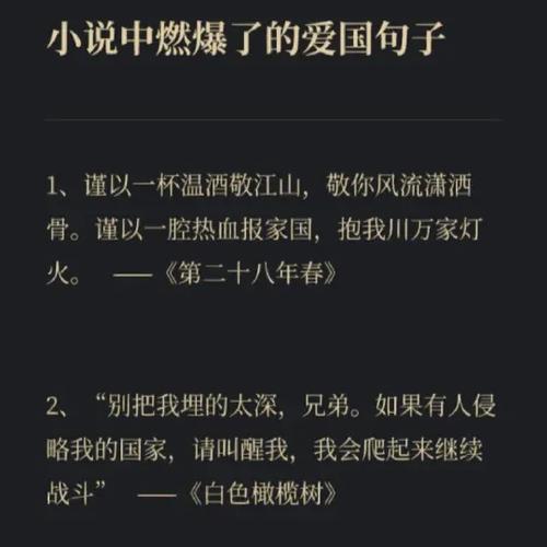 超燃爱国语录