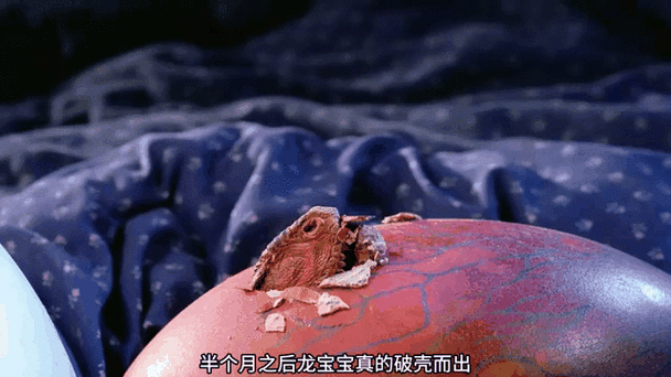 冰龙蛋怎么孵化