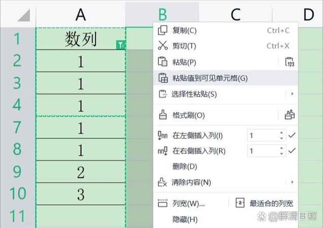 只粘贴到可见单元格