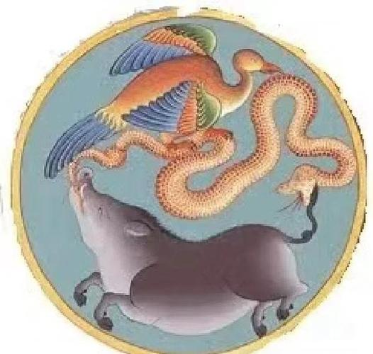 鸽子打一个生肖的寓意