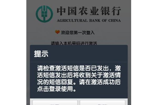 农业银行信用卡锁定游戏截图