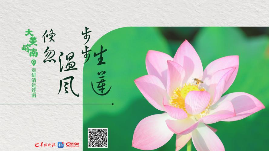 步步生风