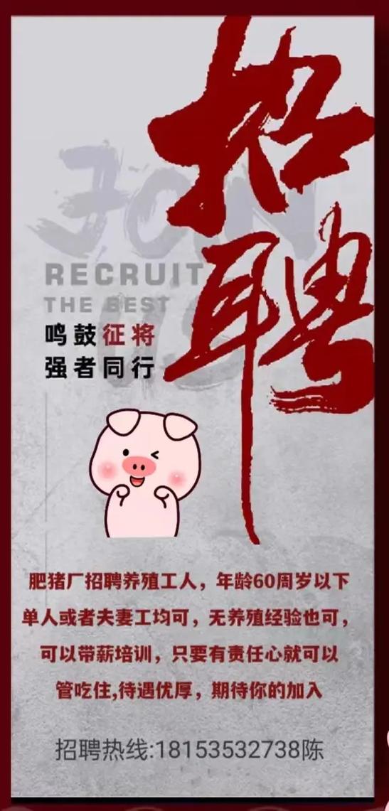 猪场急聘养猪工人