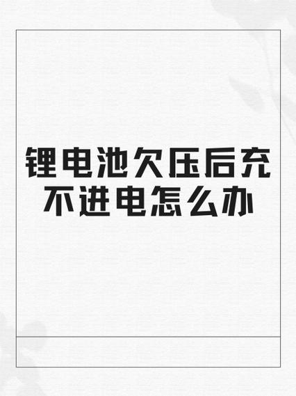锂电池电量耗尽充不进电