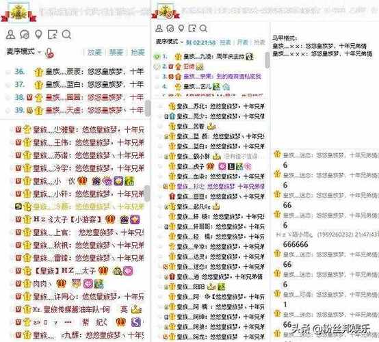 YY伴侣的功能介绍