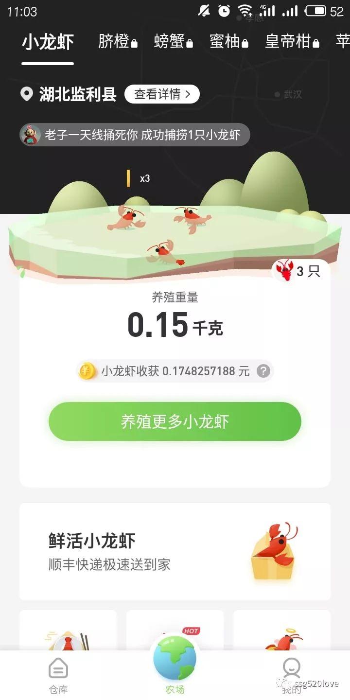农场世界怎么卖龙虾