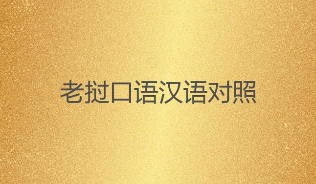 汉语与老挝语视频对话