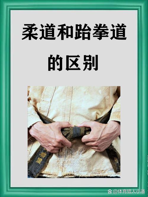 柔道污的含义