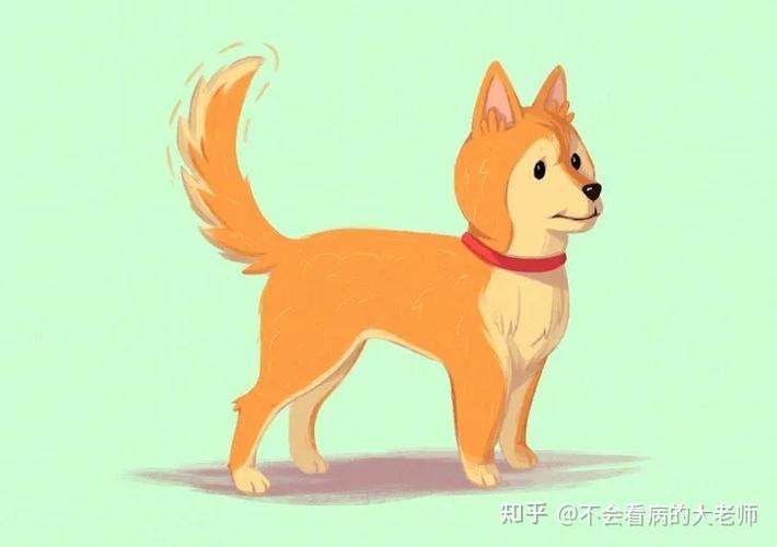 可爱的尾巴漫画知乎