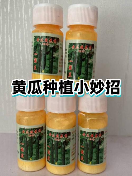 种黄瓜最简单方法游戏截图